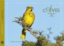 Birds of the Pampas / Aves do Pampa