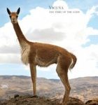 Vicuña: The Fibre of the Gods