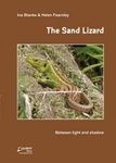 The Sand Lizard
