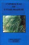 Cyperaceae of Uttar Pradesh