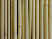 Bamboo Canes