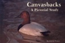 Canvasbacks