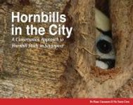 Hornbills in the City