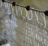 Monofilament Single Panel Survey Gill Nets