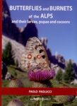 Butterflies and Burnets of the Alps and Their Larvae, Pupae and Cocoons