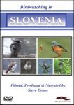 Birdwatching in Slovenia (All Regions)