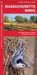 Massachusetts Birds