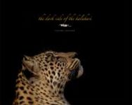 The Dark Side of the Kalahari