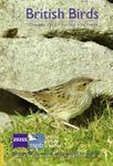 British Birds Report on Rare Birds in Great Britain in 2012