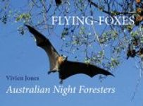 Flying-Foxes