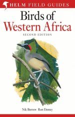 Nocturnal Birds Of Southern Africa Nhbs Field Guides