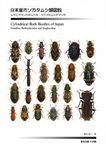 Cylindrical Bark Beetles of Japan [Japanese]
