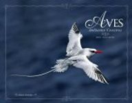 Birds – Coast and Sea / Aves: Ambientes Costeiros