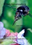 British Hymenoptera