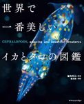 Cephalopods, Amazing and Beautiful Creatures [Japanese]