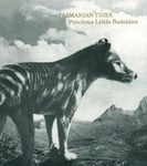 Tasmanian Tiger