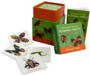 Insects Memory Game