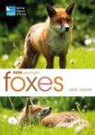 RSPB Spotlight: Foxes