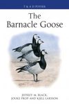 The Barnacle Goose