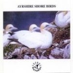 Ayrshire Shore Birds