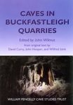Caves in Buckfastleigh Quarries