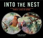 Into the Nest