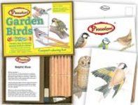Garden Birds Colouring Set