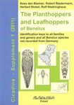 The Planthoppers and Leafhoppers of Benelux