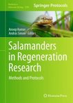 Salamanders in Regeneration Research