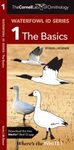 Cornell Lab of Ornithology Waterfowl ID: #1 The Basics