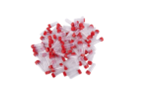 Replacement Vials for HB-Type Pooters