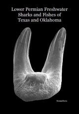 NEW book Lower Permian Vertebrates Waurika Oklahoma Updated expanded 680 pages 