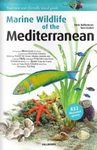 Marine Wildlife of the Mediterranean