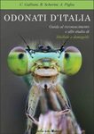 Odonati d'Italia [Odonates of Italy]