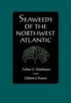 Seaweeds of the Northwest Atlantic