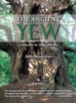 The Ancient Yew