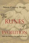 The Runes of Evolution