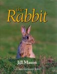 The Rabbit