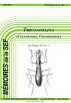 Tricondylina (Coleoptera, Cicindelidae): Révision des Genres Tricondyla Latreille et Derocrania Chaudoir et Descriptions de Nouveaux Taxons [Tricondylina: Revision of the Genera Tricondylina Latreille and Derocrania Chaudoir and Descriptions of New Taxa]