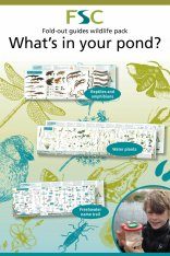 Pond Creatures Identification Chart