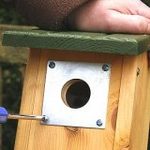 Nest Box Plate