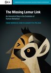 The Missing Lemur Link