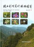 Native Orchids of Shaanxi [English / Chinese]
