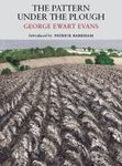 The Pattern Under the Plough