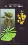 A Field Guide to the Palms of India