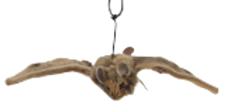 Pipistrelle Bat Soft Toy
