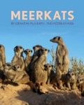 Meerkats