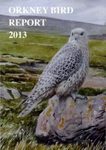 Orkney Bird Report 2013