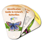 Ireland's Biodiversity: Butterflies