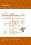 Evolution and Phylogeny of Bees